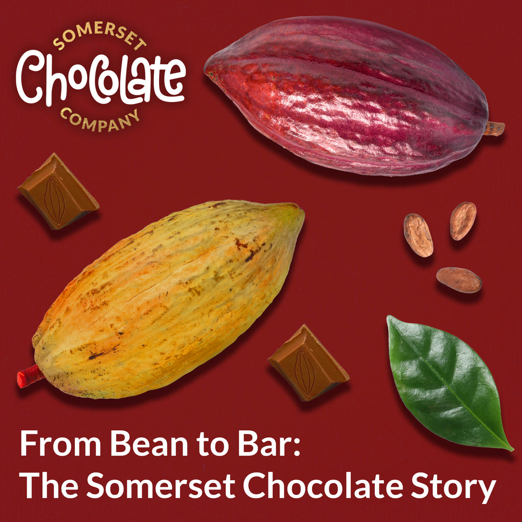 From Bean to Bar: The Somerset Chocolate Story